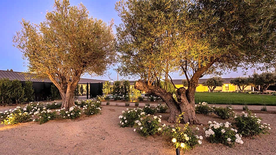 Hotel Bayit