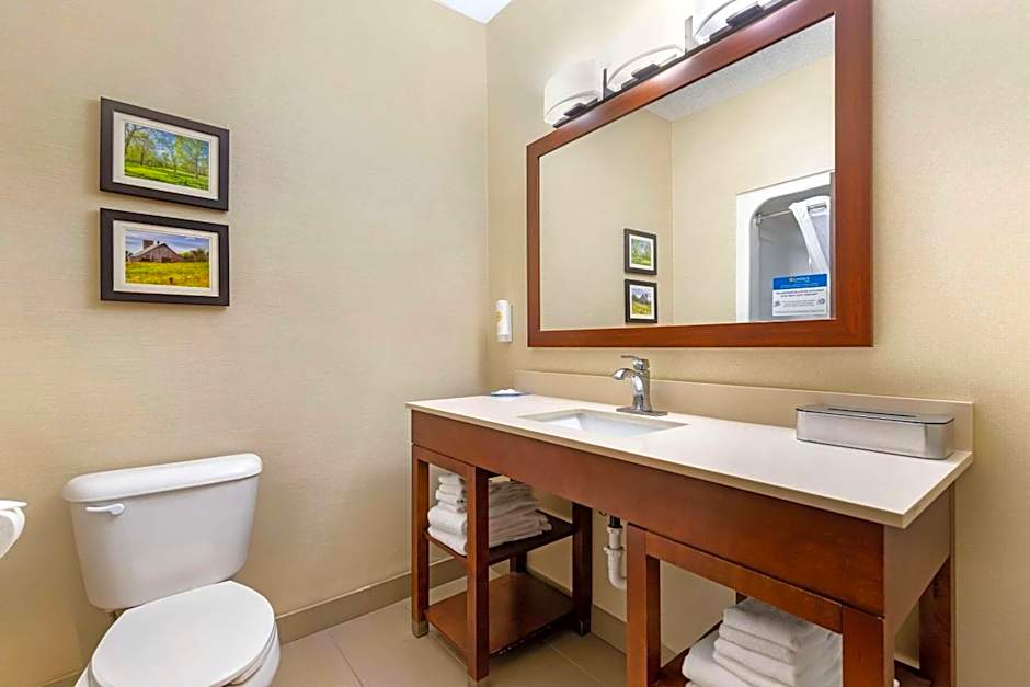 Comfort Suites Cedar Falls