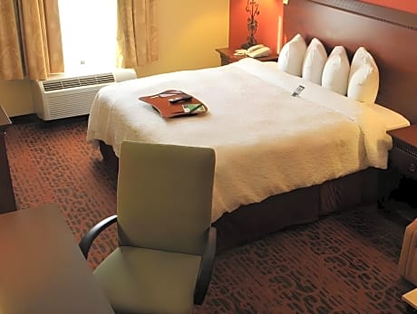 1 King Suite Non-Smoking