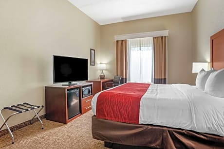 1 King Bed Nonsmoking Accessible