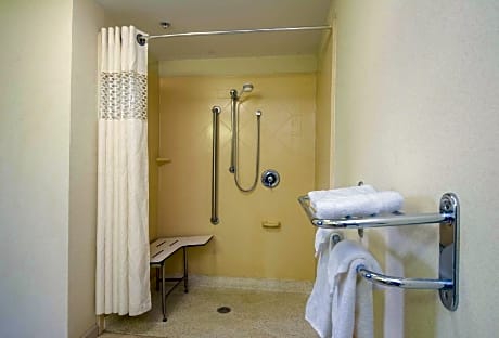 1 King Mobility Hearing Accessible Roll In Shower Non-Smoking Sofa Bed
