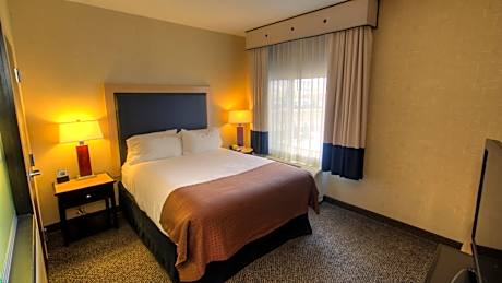 1 Bedroom Suite 1 Double