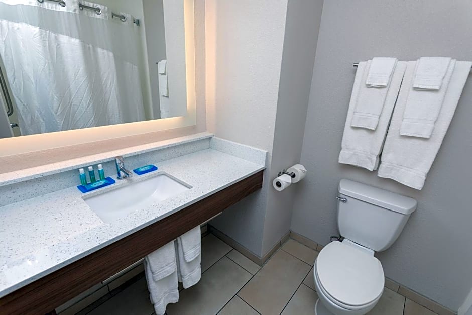 Holiday Inn Express Hotel & Suites Athens
