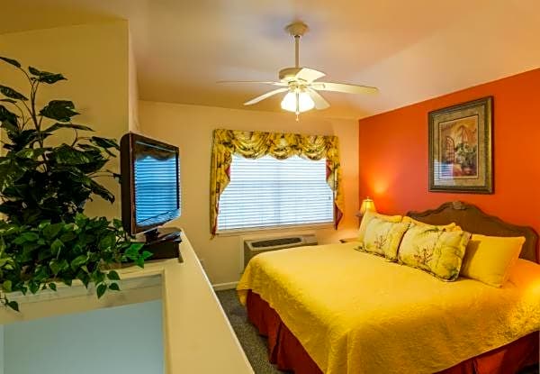 The Cozy Inn