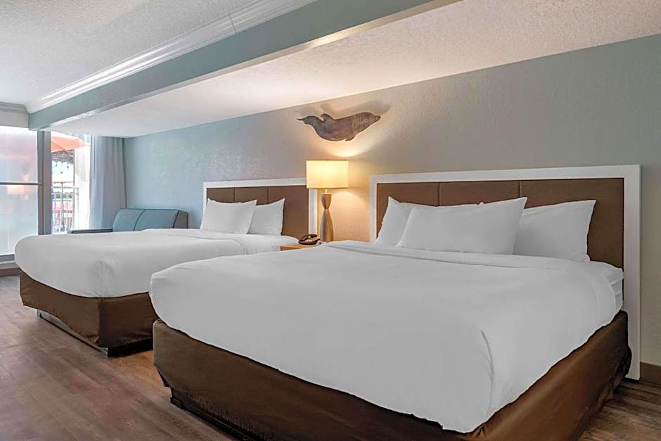 Winter the Dolphin's Beach Club, Ascend Hotel Collection