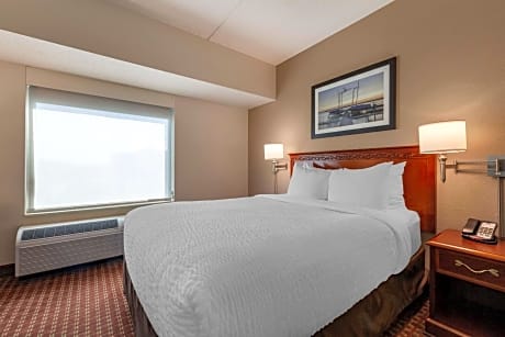 One-Bedroom Suite