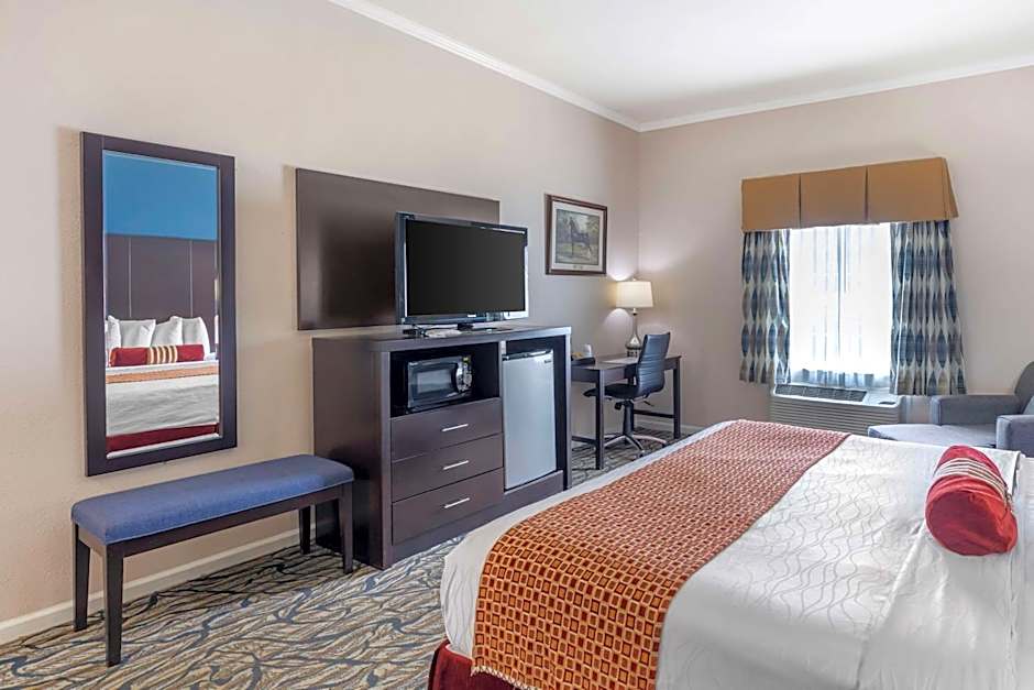 Best Western Spring Hill Inn & Suites