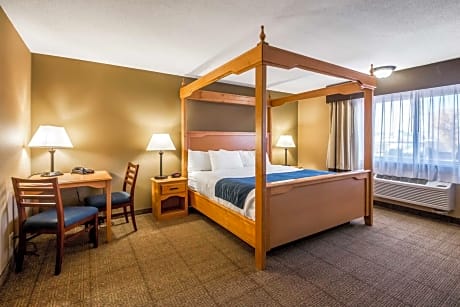 1 Bedroom King Suite
