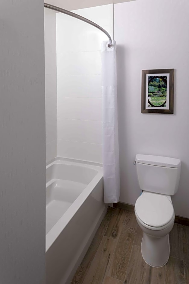 Hampton Inn By Hilton & Suites-Asheville Biltmore Village, NC