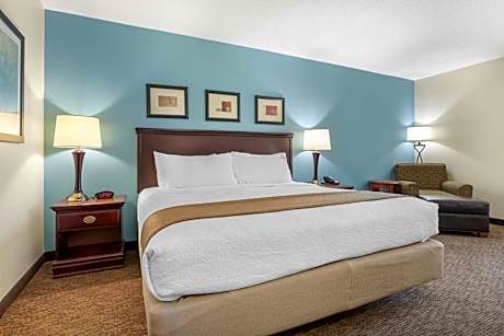King Room - Disability Access - Non Smoking