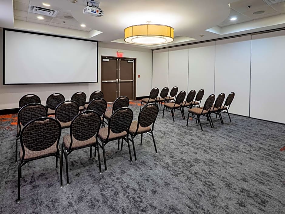 Hilton Garden Inn Atlanta South-Mcdonough