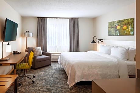 Suite, 1 King, Sofa bed