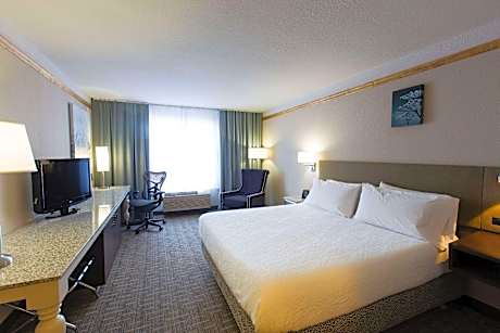 1 King Bed
