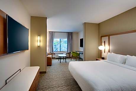 Suite, 1 King, Sofa bed