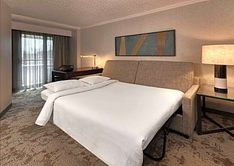 King Suite with Roll-in Shower - Mobility Access