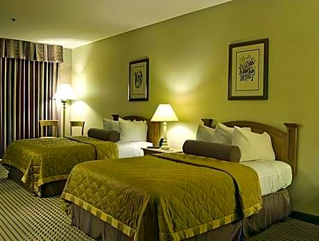 Executive Suite Double Bed