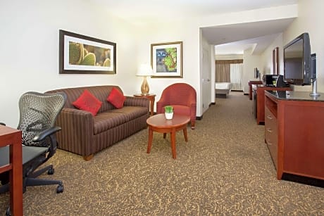 1 King Junior Suite Hearing Accessible
