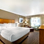 Best Western Plus Gran Tree Inn