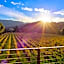 Las Alcobas, a Luxury Collection, Napa Valley