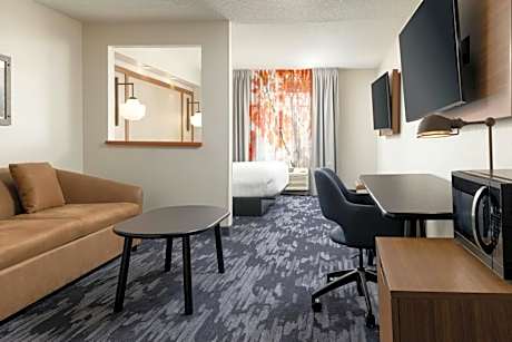 1 King Bed One-Bedroom Mobility Accessible Suite Non-Smoking