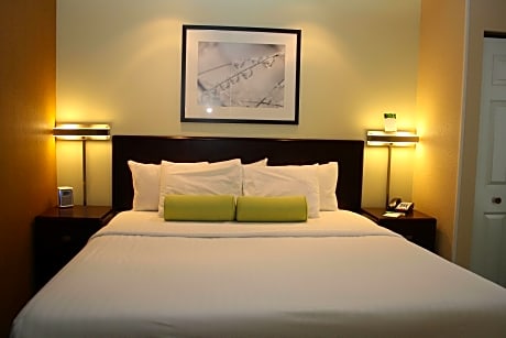 Suite, 1 King Bed with Sofa bed (1 King Bed and 1 Double Sofa Bed)