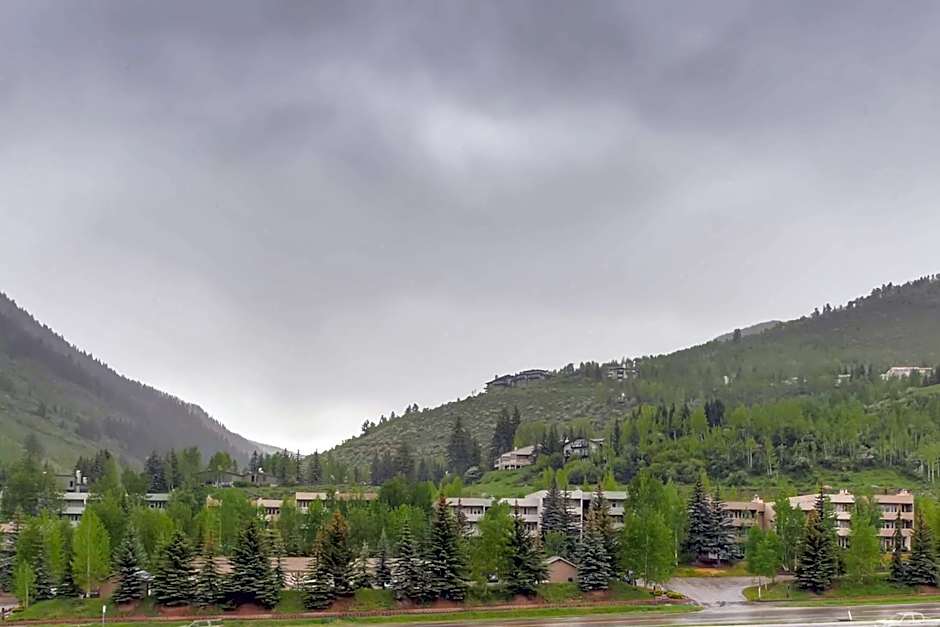 The Lion Vail