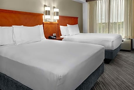Specialty Two Double Beds (with sofa bed)