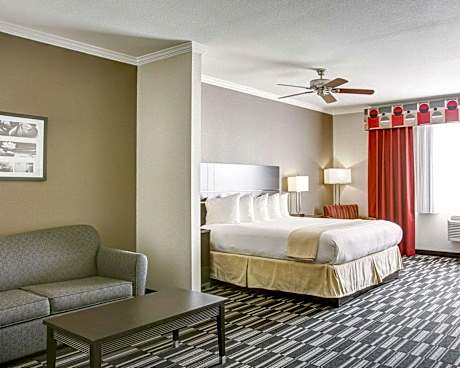 1 King Bed, Suite, Nonsmoking, Accessible