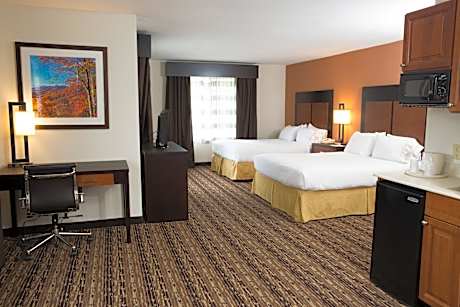 2 Queen Beds Suite Mountain View