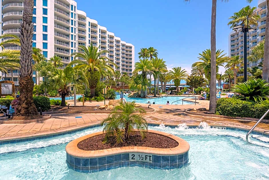 The Salty Palm