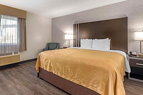 Standard Room, 1 King Bed, Non Smoking