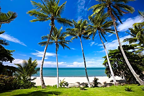 Haven of Tranquility