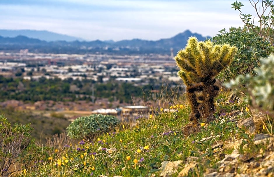 WorldMark Phoenix South Mountain Preserve