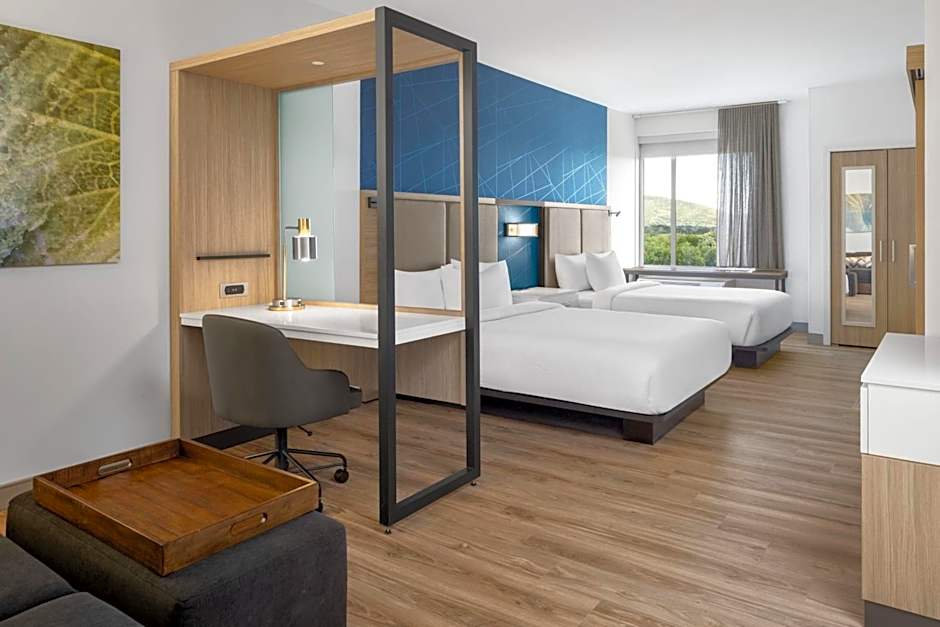 SpringHill Suites by Marriott Roanoke North