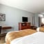 Quality Inn Oak Ridge