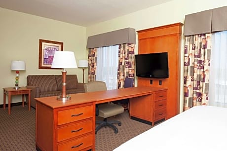 King Studio Suite with Sofa Bed - Non-Smoking