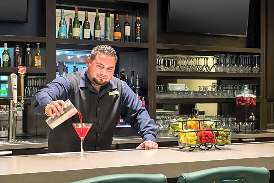 Embassy Suites by Hilton Atlanta Alpharetta