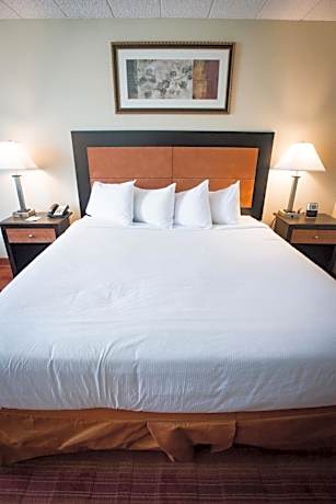 1 King Bed, Nonsmoking