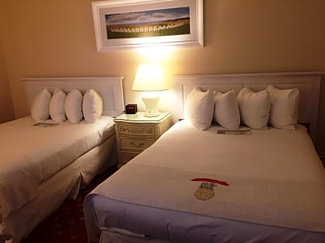 Double Room with 2 Double Beds