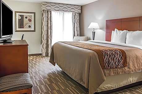 1 King Bed, No Smoking