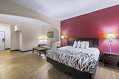 Suite King Room with Spa Bath Non-Smoking