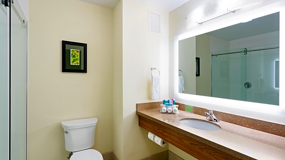 Holiday Inn Express & Suites Midland South I-20