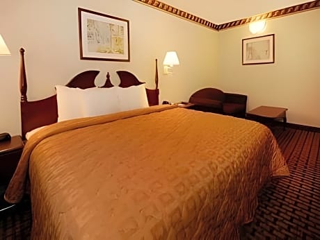 1 bedroom Suite