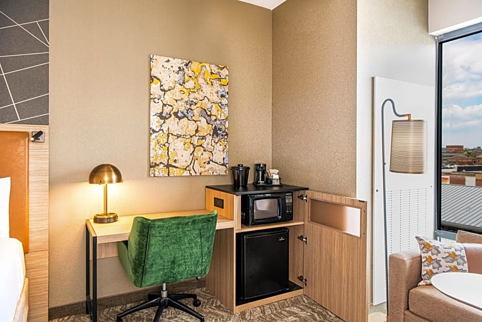 SpringHill Suites by Marriott Baltimore Downtown Convention Center Area