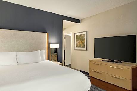 King Suite with Sofa Bed