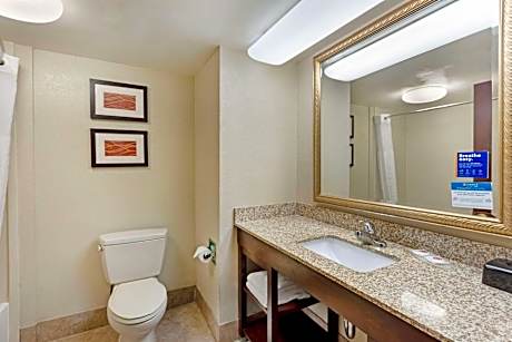 Efficiency King Suite with Sofabed