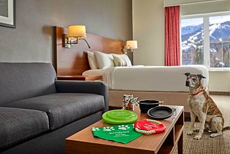 1 Bedroom Suite, 1 King, Sofa bed, Mountain view