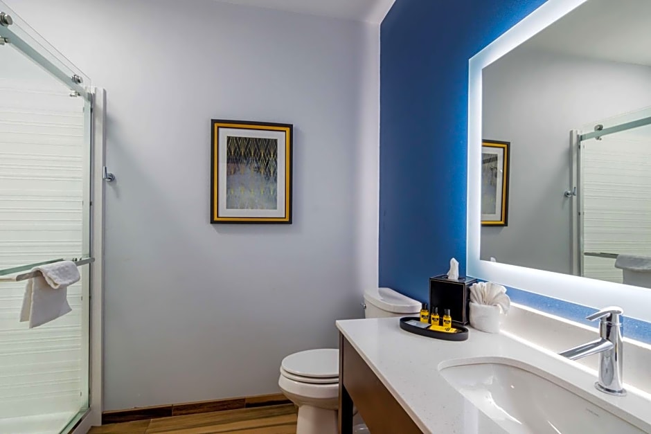 Best Western Plus St. Louis Airport Hotel