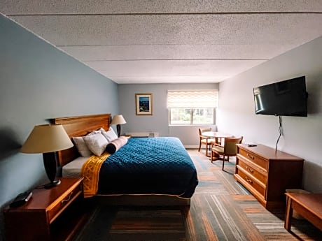 Deluxe One King Bed