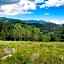 Dancing Bear, 2 Bedrooms, Front Porch, Midtown, Sleeps 6